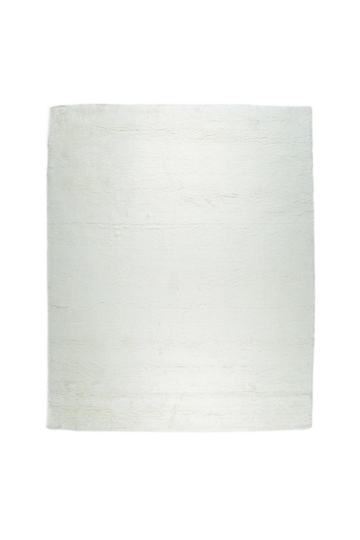 Ivory Contemporary Solid Color Modern Solid Area Rug